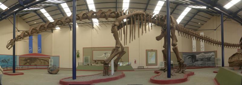 Argentinosaurus huenculensis